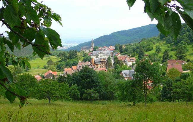 Hotel Du Haut Koenigsbourg- Entre Vignes Et Chateau Thannenkirch Esterno foto