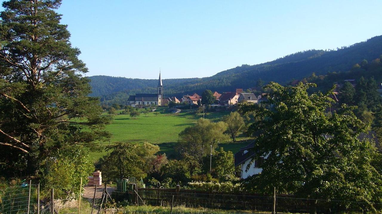 Hotel Du Haut Koenigsbourg- Entre Vignes Et Chateau Thannenkirch Esterno foto