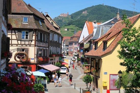 Hotel Du Haut Koenigsbourg- Entre Vignes Et Chateau Thannenkirch Esterno foto